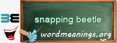 WordMeaning blackboard for snapping beetle
